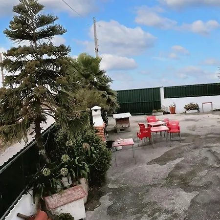 Spacious House In With Garden & Terrace