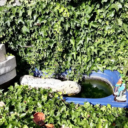 Spacious House In With Garden & Terrace *